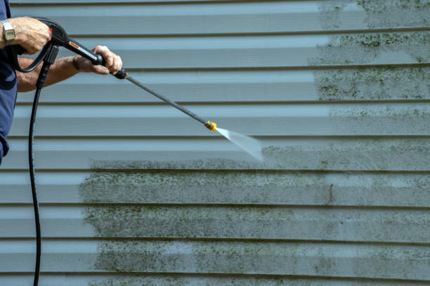 Best Oil Spill Cleanup  in New London, OH